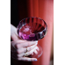 Келих для коктейлю Specktrum | Meadow Stemware - Слива - Ø 12 - H 15 см