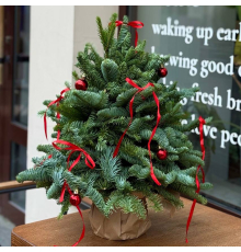 Ёлочка из нобилиса на подставке