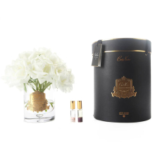 Аромадифузор Cote Noire | Розкішний великий букет - Слонова кістка - Прозора ваза - Золото - Чорна коробка