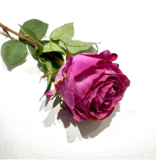 Искусственная роза Silk-Ka | Фиолетовая - 67 см