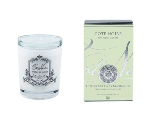 Аромасвеча White Vessel Cote Noire | Персидский лайм и мандарин - Серебро - 185 г