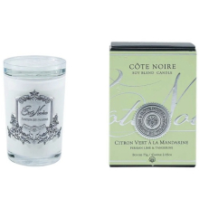 Аромасвеча White Vessel Cote Noire | Персидский лайм и мандарин - Серебро - 75 г