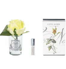 Аромадифузор Cote Noire | Парфумований бутон троянди - Жовтий - Прозорий - Срібло - 13,5 см