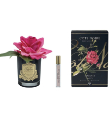 Аромадифузор Cote Noire | Парфумована троянда - Маджента - Чорний - Золото - 15 см