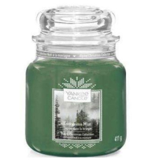 Аромасвеча Yankee Candle | Evergreen Mist - 411 г