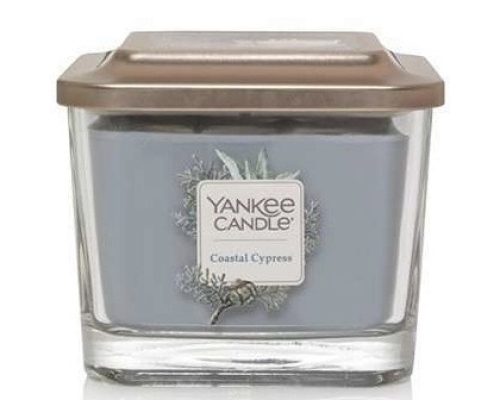 Аромасвеча Yankee Candle | Coastal Cypress - 96 г