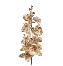 Орхідея золота Goodwill | 101 см