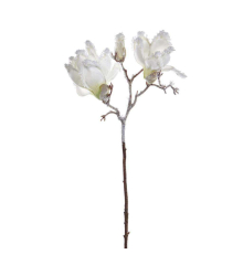 Гілка снігової магнолії Goodwill | 73 см