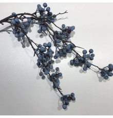 Ветка с ягодами