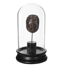 Статуетка ShiShi | Черепаха під куполом - Скло - 12 * 21 см