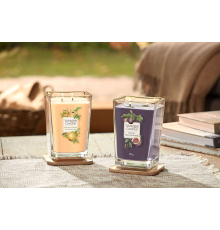 Аромасвеча Yankee Candle | Fig & Clove - 552 г