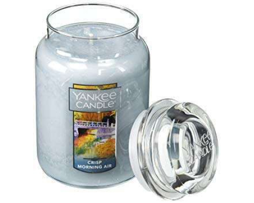 Aромасвічка Yankee Candle | Coastal Cypress - 623 г
